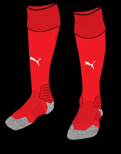 Puma Team Sock II