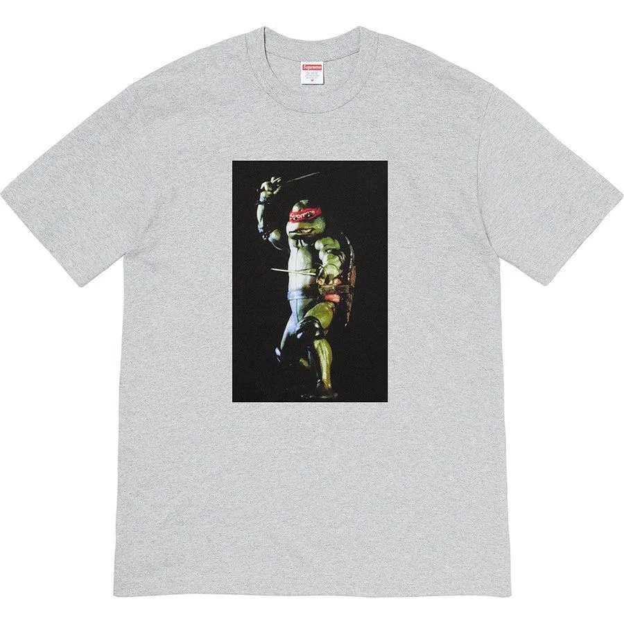 Supreme Raphael Tee (Grey)